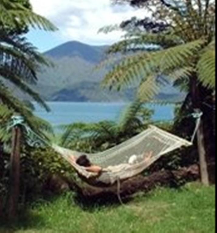 Lochmara Lodge - 20Mins By Boat From Picton Lochmara Bay 외부 사진